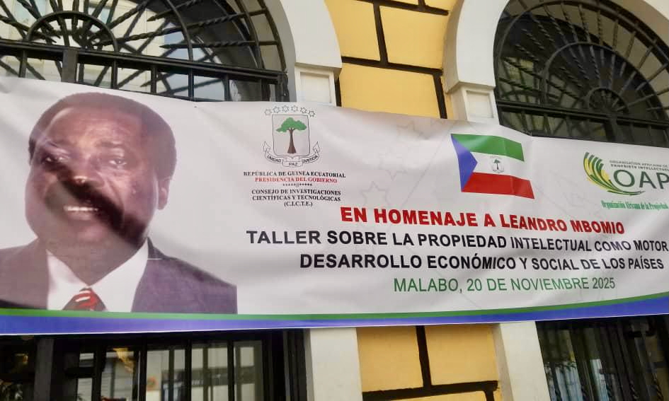 Imagen de la galería